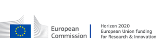 Meplis - Patient and HCP engagement platform - client European Commission Horizon 2020